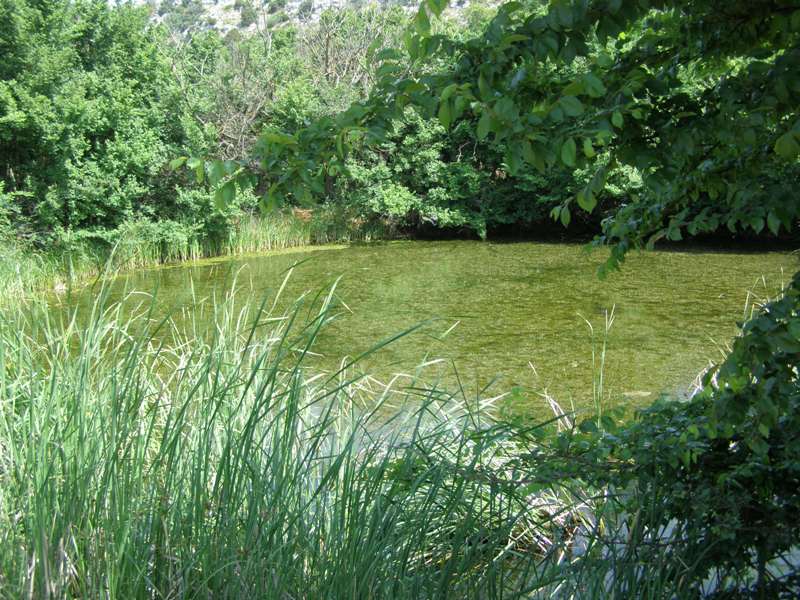Naturpark Telascica 33